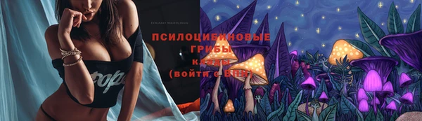 стаф Абаза