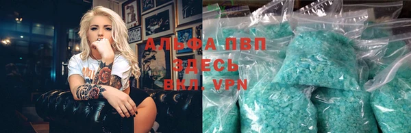стаф Абаза