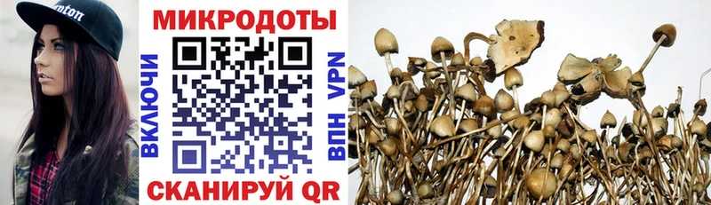 Псилоцибиновые грибы мухоморы  наркотики  Домодедово 